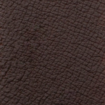 Queen Esoteric Eyebrow Pomade Minxy